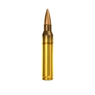 223REM NB. KULOWY FMJ 3,56G MAGTECH (50)(223A)